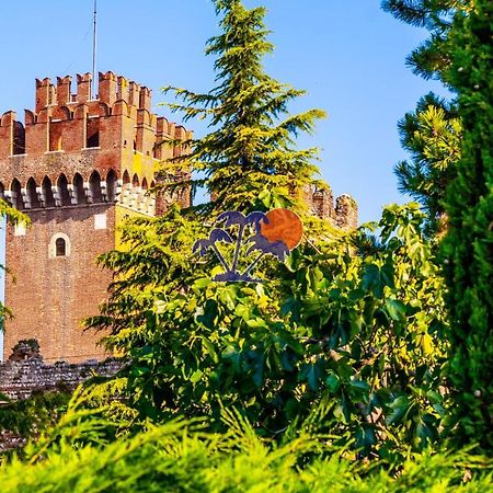 Appartamenti Gli Olmi Lazise Dış mekan fotoğraf